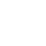 WordPress White Logo
